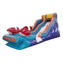 Inflatable water slide rental
